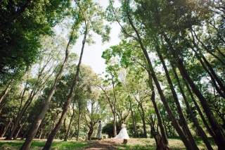 ロケーション撮影