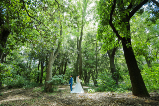 服部緑地公園　ロケーション撮影