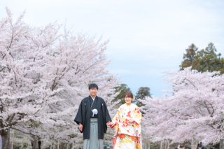 【モニター募集】仙台桜フォトウェディングのご案内【撮影地リクエスト可能】