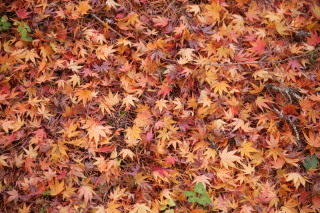 イメージ撮影に行ってきました