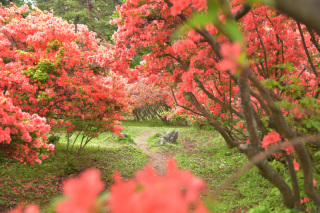 思い出作りのフォトウェディング