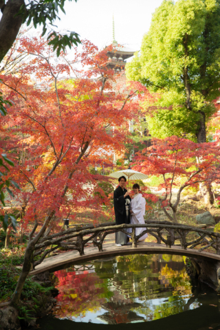 9月8日・14日15日16日のフォトウエディング相談