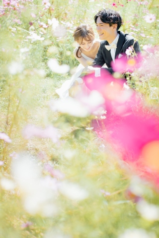 春がやってくる