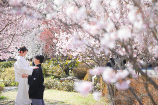 桜ロケーション °˖✧✧˖°予約開始しています°˖✧✧˖°