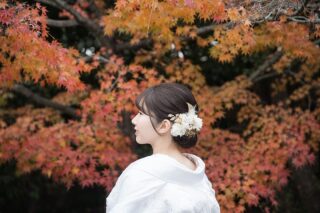 2024年 ♡紅葉撮影受付開始しています♡
