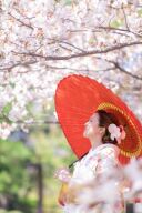 11月9日10日週末のご案内