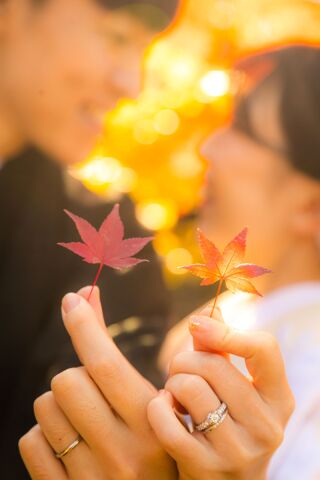 2026年 紅葉ロケ 受付開始