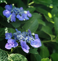 スタジオ撮影～