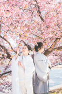 2026年　SAKURAロケレポート