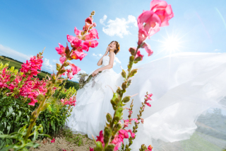 ◇◇春のロケーション 受付中◇◇