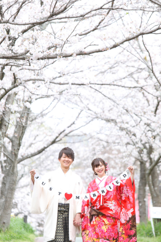 桜ロケーション