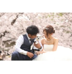 桜ロケーション