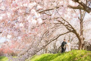 桜ロケプラン ~ 予約受付中 ~