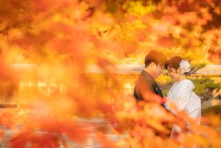 紅葉ロケ 受付中