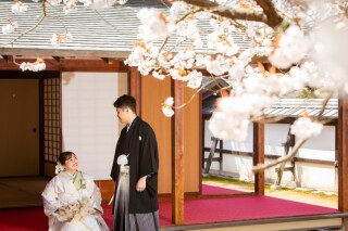 桜ロケーション撮影　～ご予約承り中～