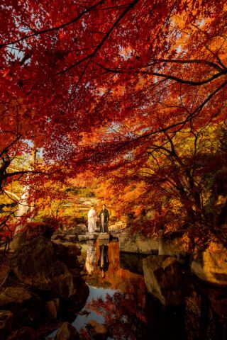 紅葉ロケ 空き日程のお知らせ
