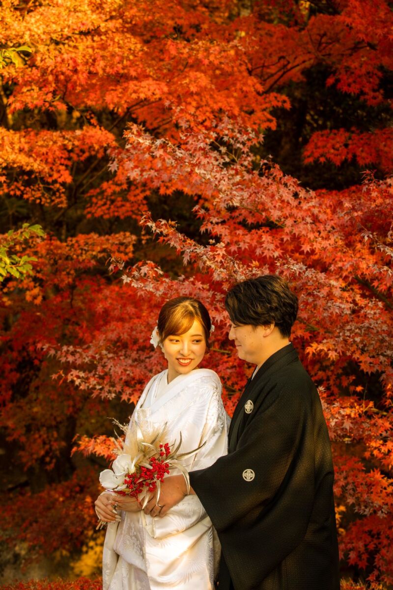紅葉ロケーション　予約受付中 ✡｡:*