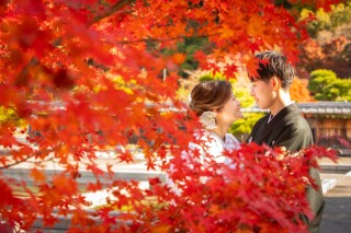 紅葉ロケーションのお問い合わせありがとうございます。