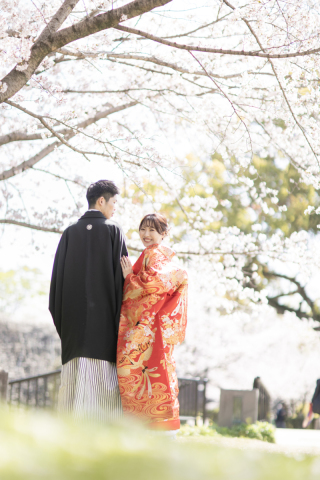 4月初旬桜ロケ　ご予約承り中