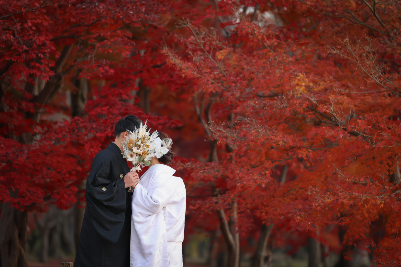 紅葉ロケーションに行こうよ~♬