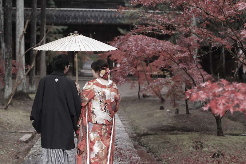 雨の日の撮影