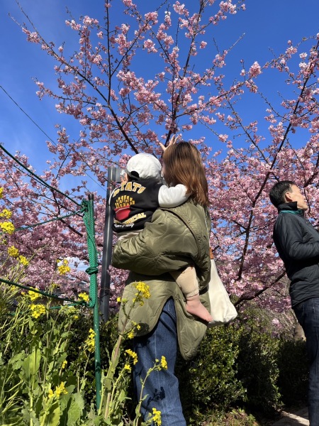 河津桜を見に静岡まで～❤