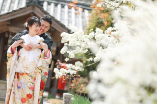吉備津神社の桜(*^▽^*)素敵‼