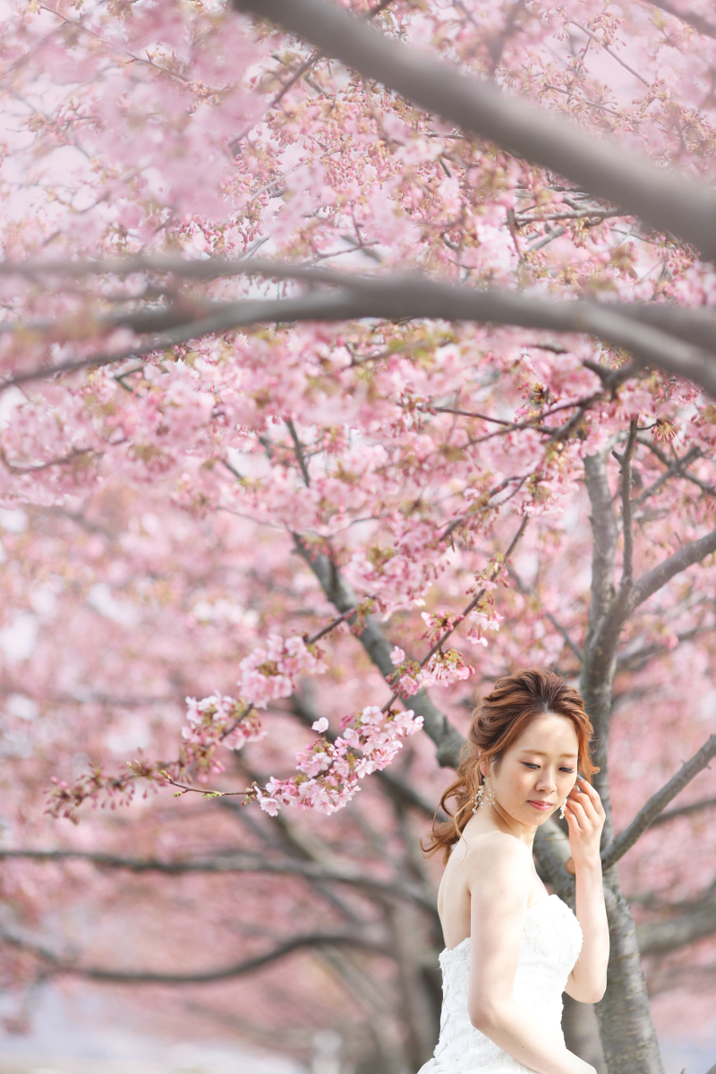 見頃は2月下旬~3月上旬