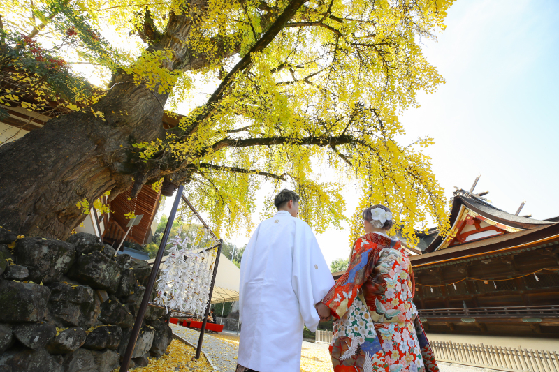 紅葉撮影のお問い合わせ、始まっております!