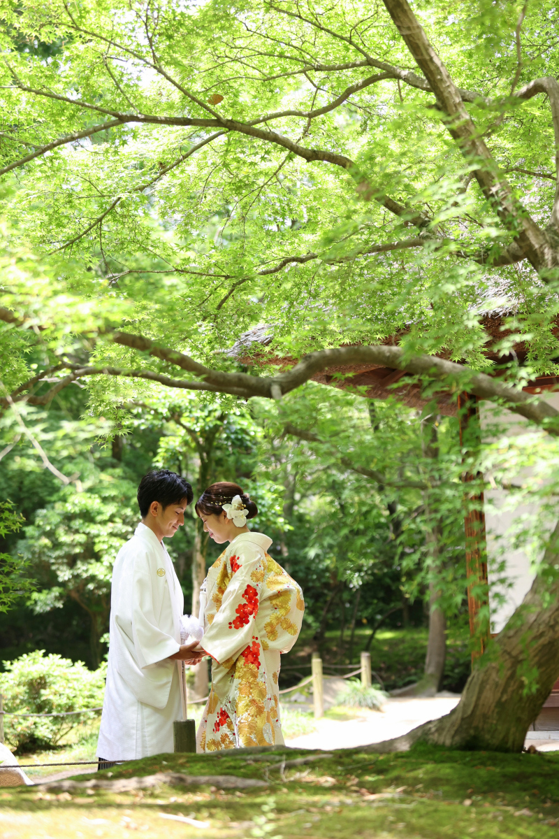 岡山後楽園♪