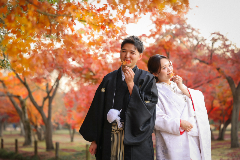 紅葉撮影のお問い合わせ、始まっております!