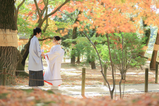 【 紅葉希望の方は夏から動き出す?! 】