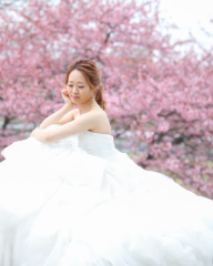 見頃は2月下旬~3月上旬