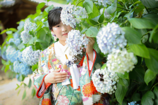 紫陽花と撮影しましょう♪