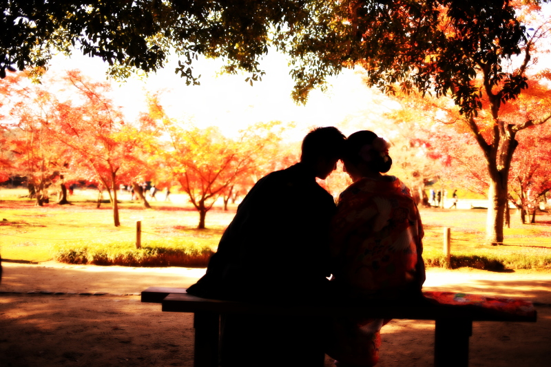 まだ間に合う紅葉ロケーション