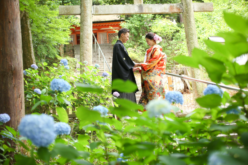 あじさいの時期のロケーション撮影受付中