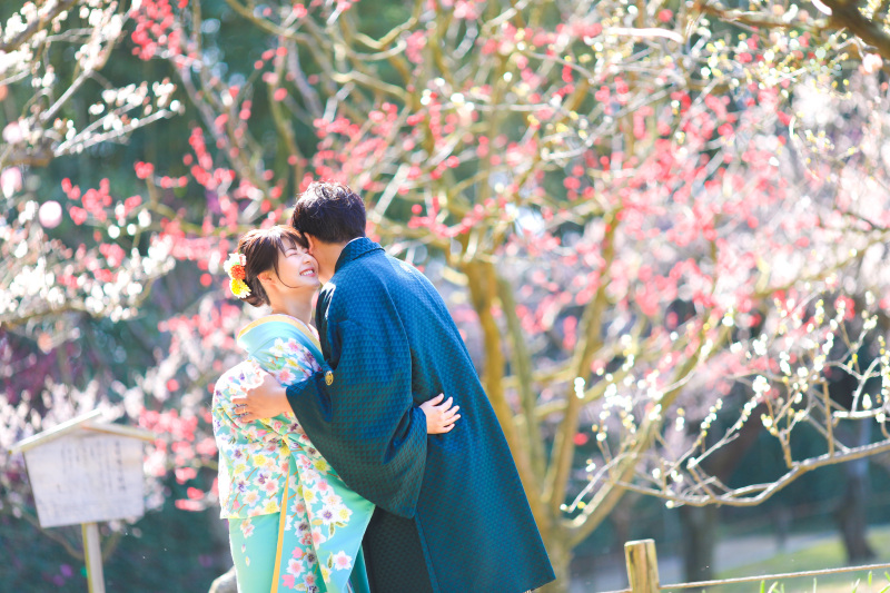 梅・桜の受付開始