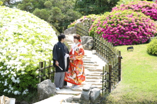 新緑が始まりました