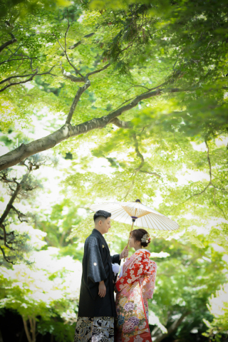 新緑がきれいです✨