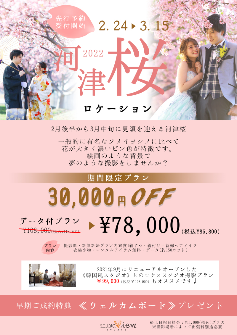 紅葉がキレイになってきまし♪