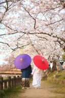 お早めにご検討ください。