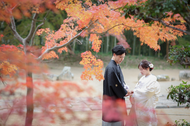 早得!紅葉ロケーション!8月末までのお申込みで嬉しい特典あり◎