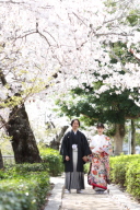 ポーズのご紹介♪～真正面~ポーズ編