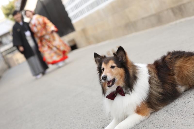 お2人の思い描いたお写真が残せます☆