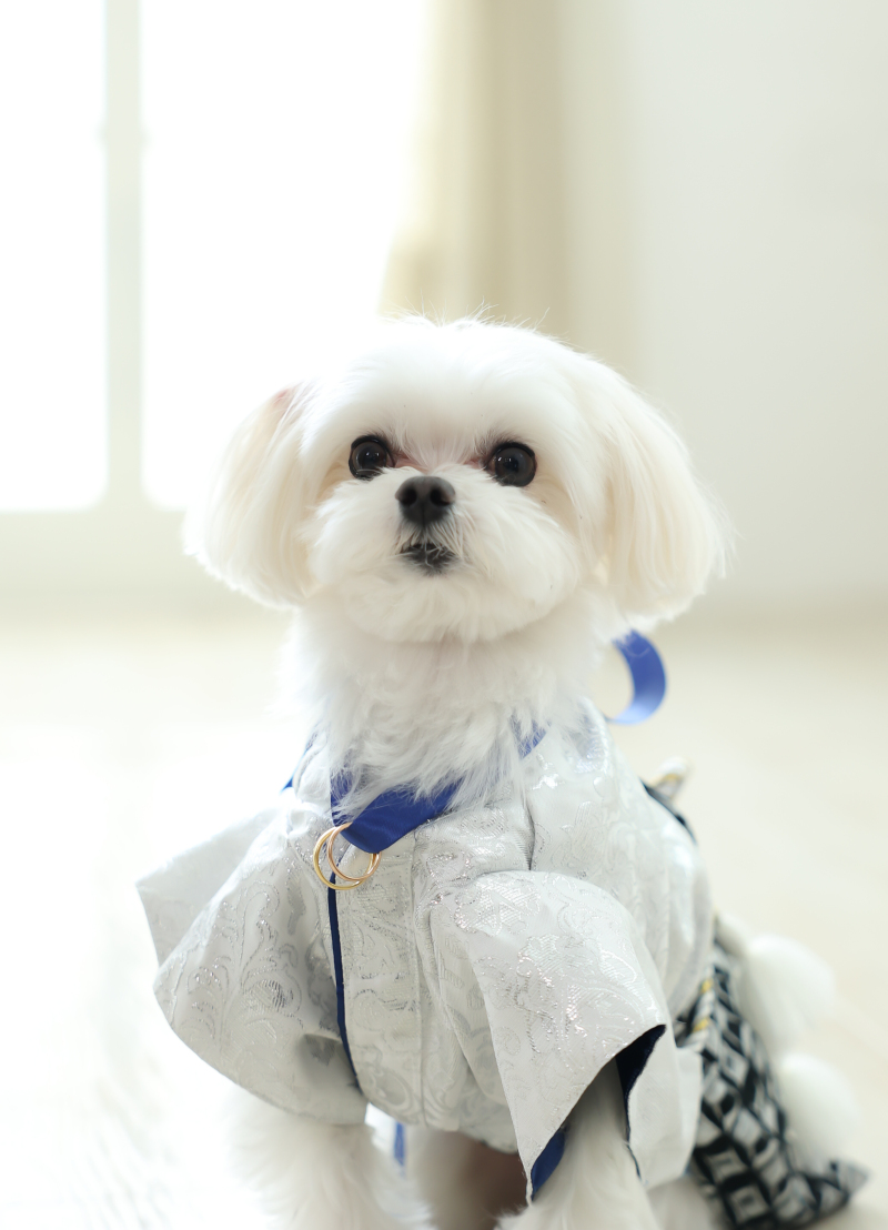 ペットと一緒にフォト撮影♥