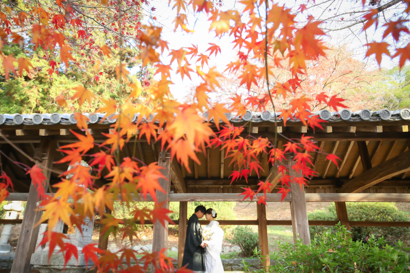 本日も紅葉撮影のご予約をいただきました☆