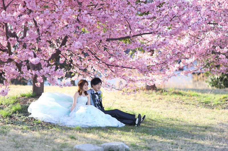 河津桜
