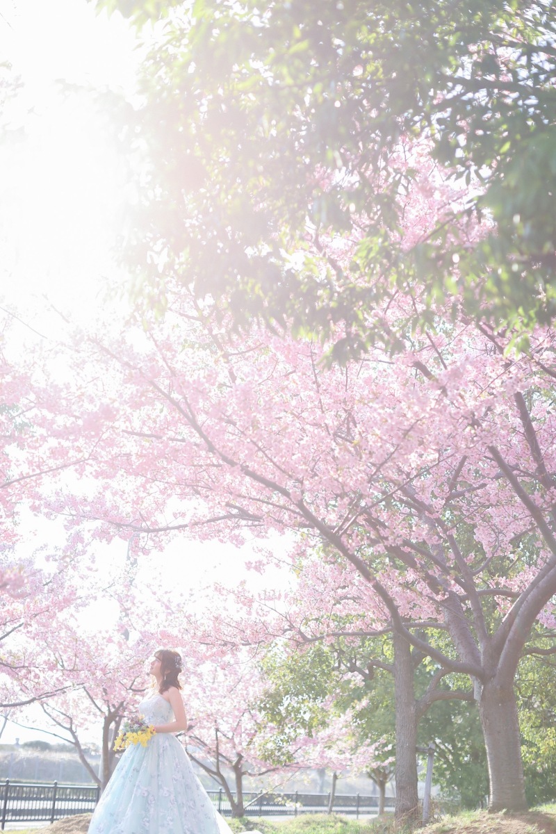 どの PINK がお好き?