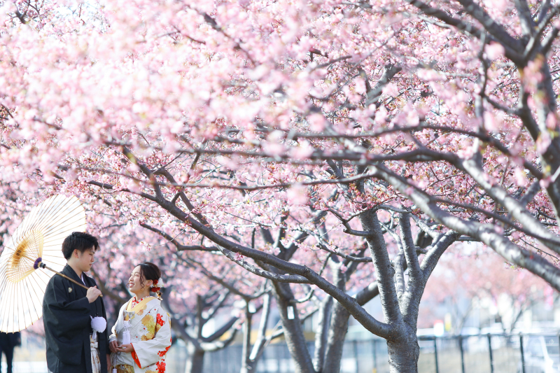 河津桜