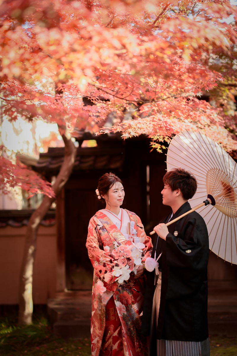 紅葉撮影、まだ間に合います♪